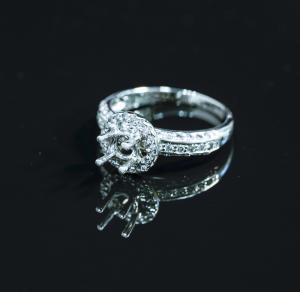 Vỏ Nhẫn Kim Cương